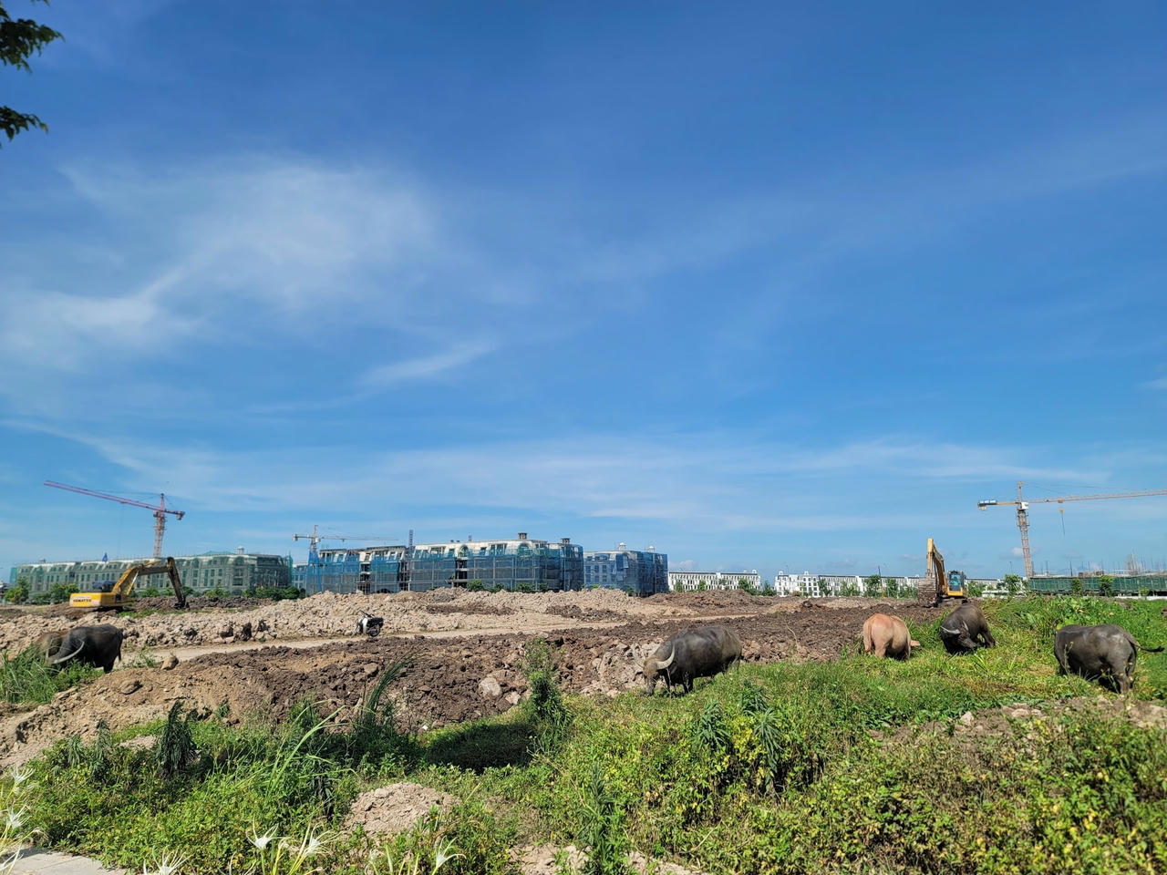 Khu đô thị Hinode Royal Park được thiết kế xây dựng theo tiêu chí tiện ích 