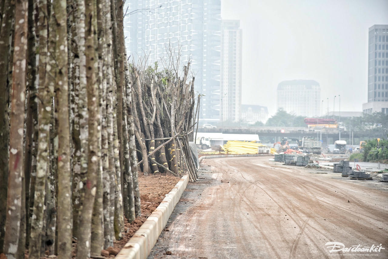 le_quang_dao-le-khanh12.jpg