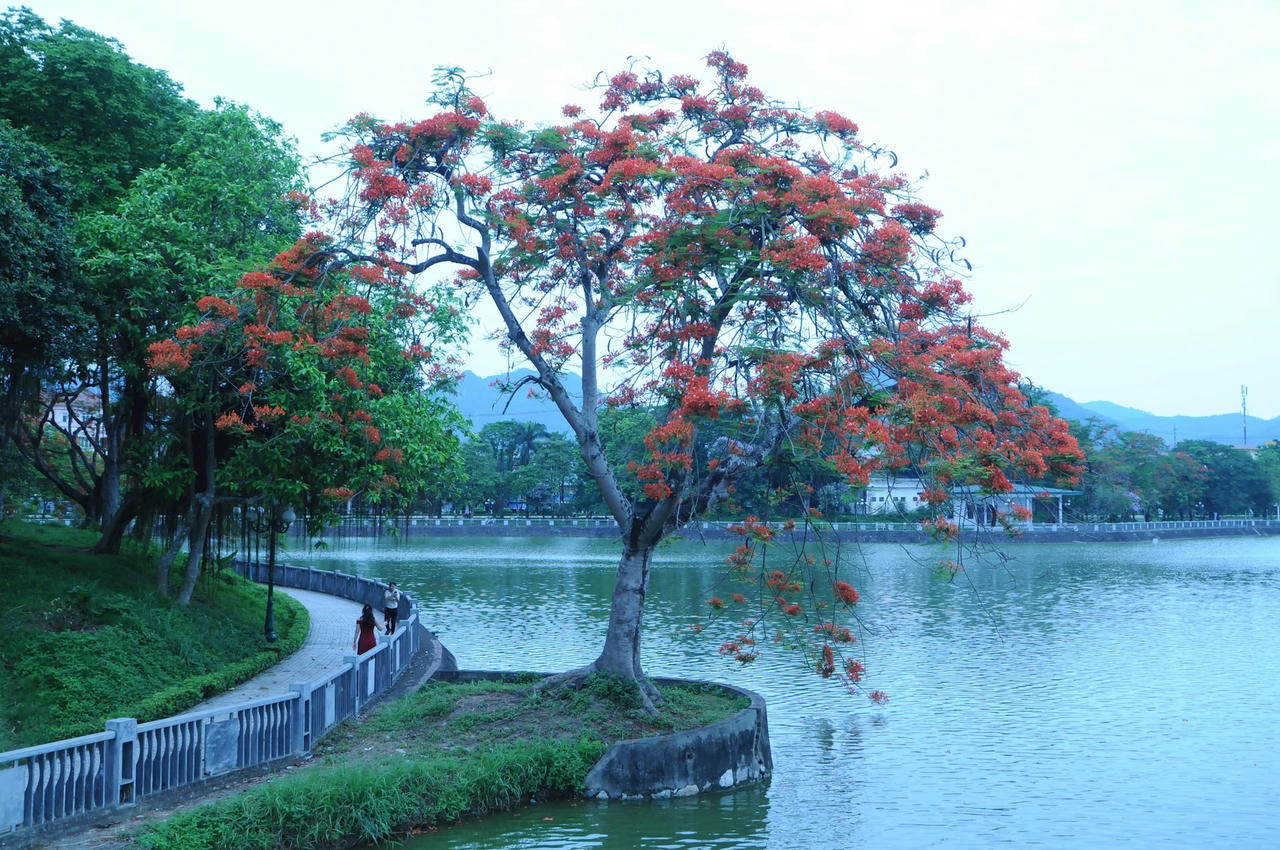 dsc_4994.jpg