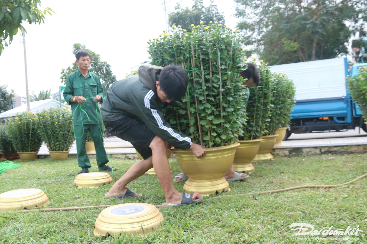 W_anh-8.7.jpg