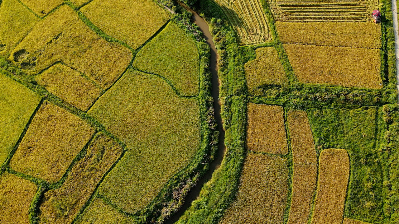 dji_0904.jpg