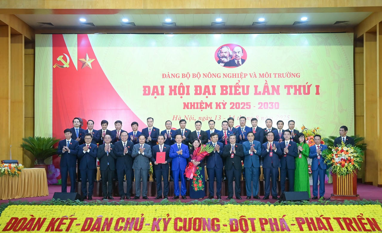 ra mắt 14-8