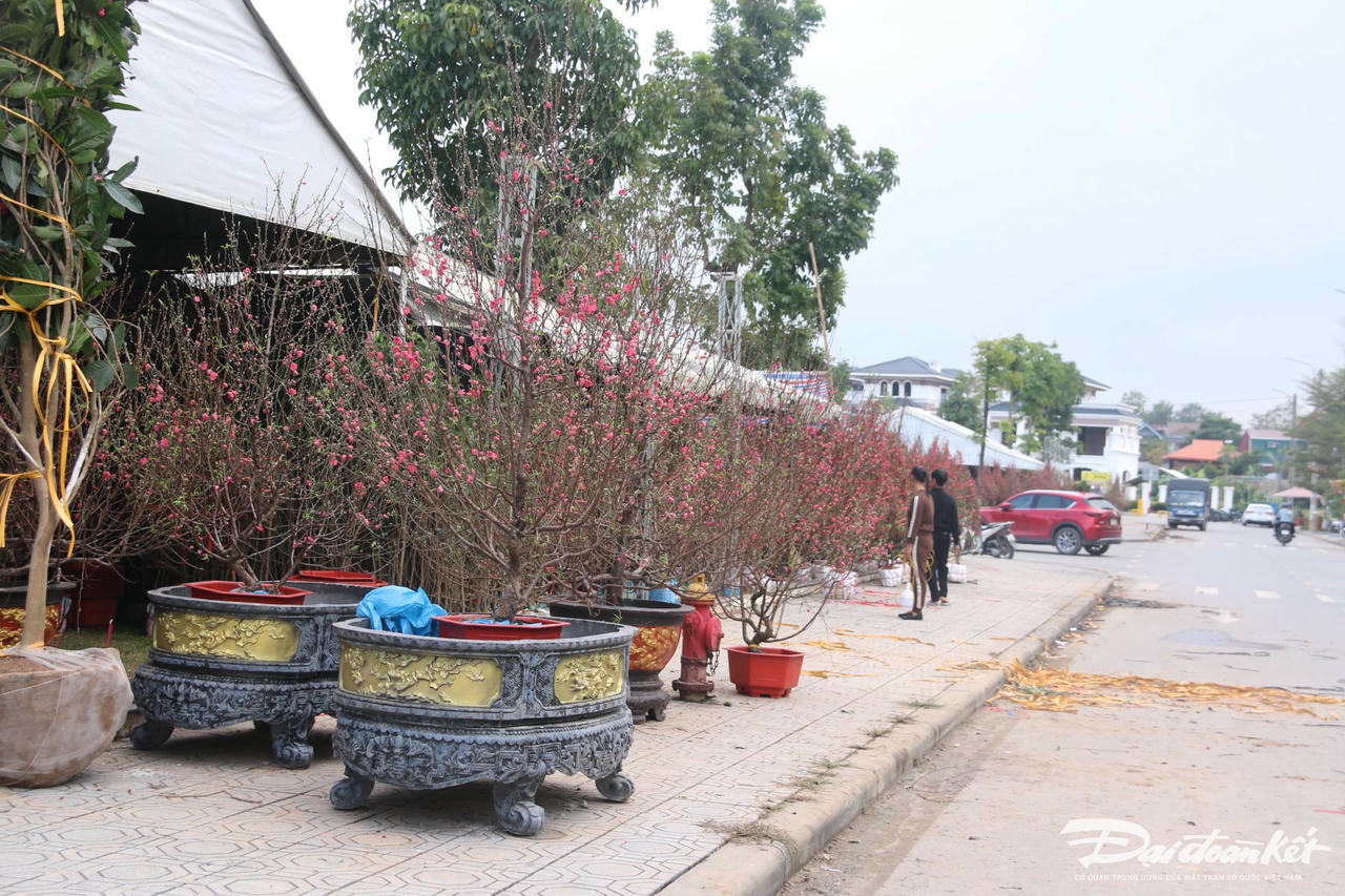 W_anh-9.jpg