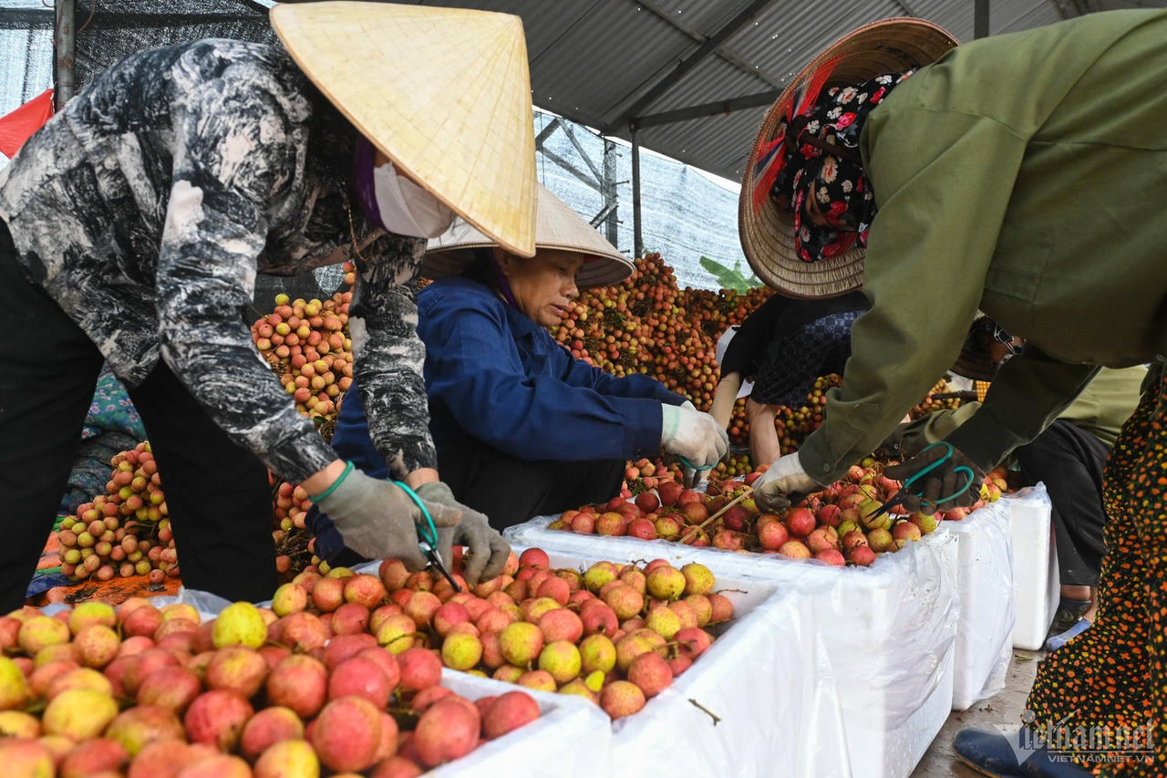 anh-chinh.jpg