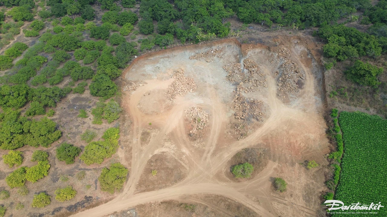 dji_0049.jpg