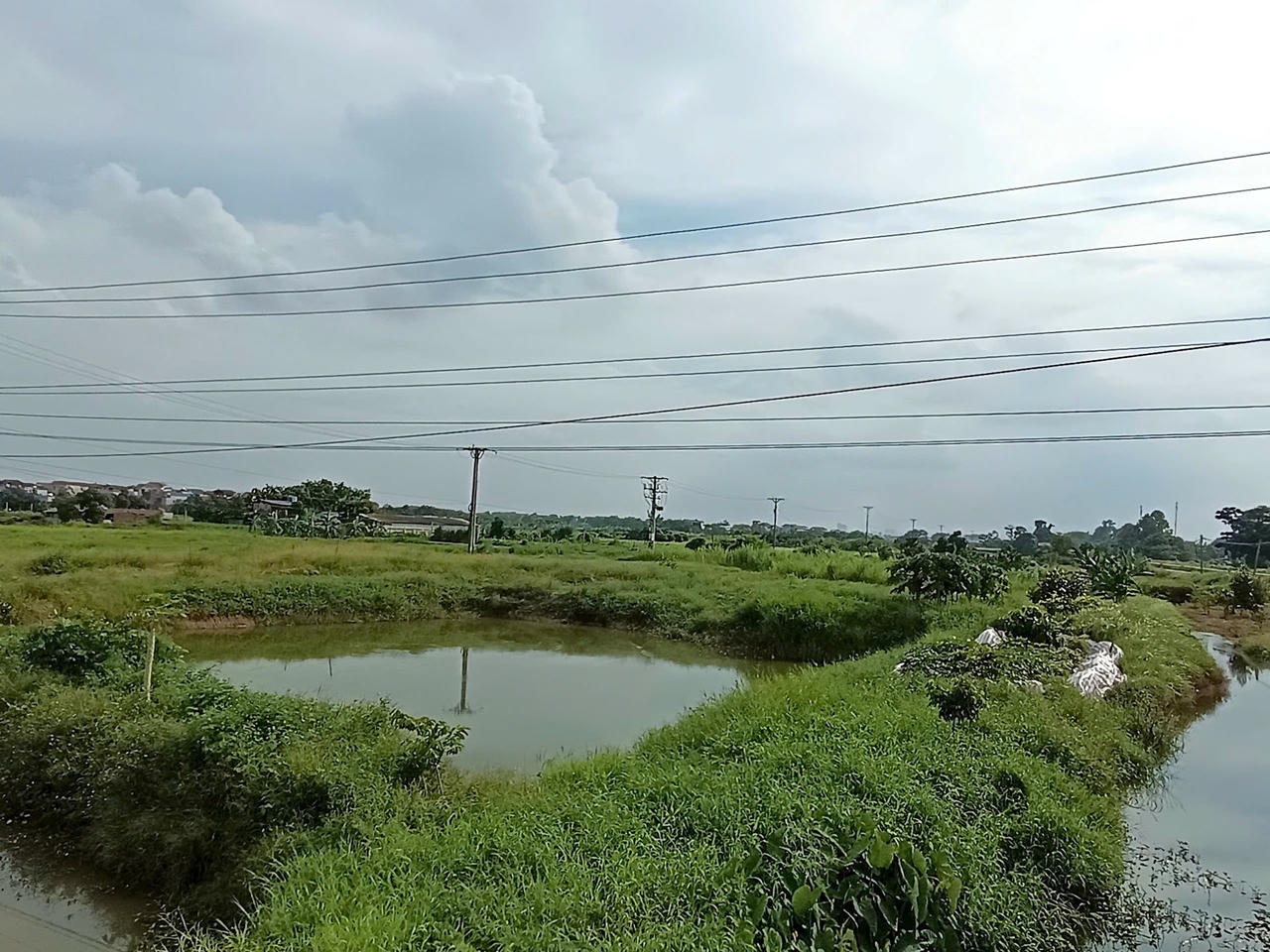 bai chinh ảnh 7