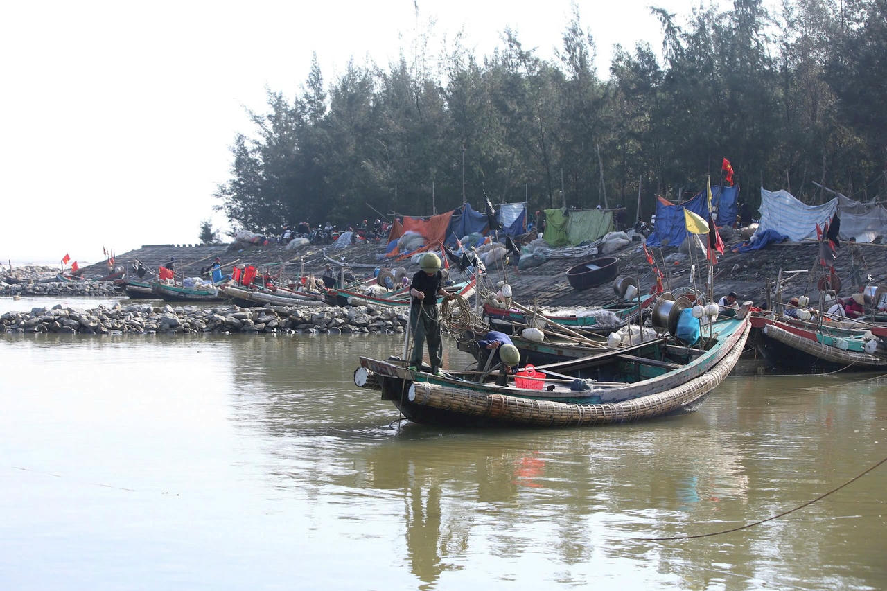 anh thay bai duoi