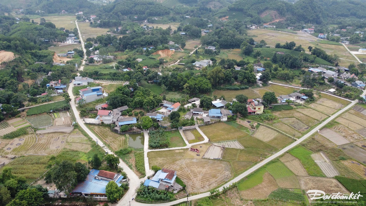W_dji_0256.jpg