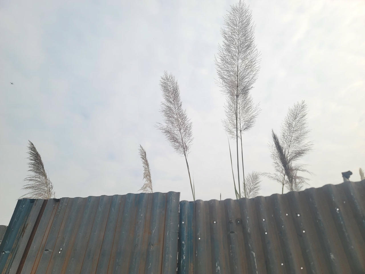 20241225_103453.jpg