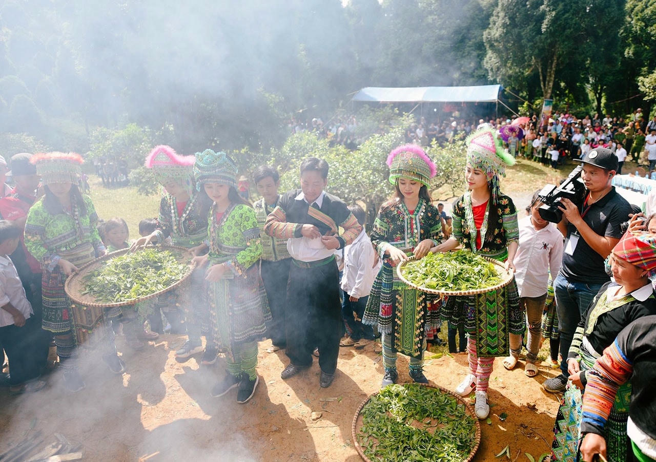 Chè Shan Tuyết tạo hướng phát triển kinh tế mới cho bà con vùng dân tộc thiểu số, miền núi