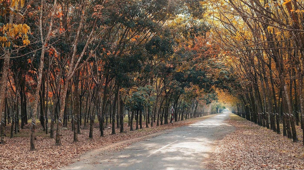 anhbaiduoi(5).jpg