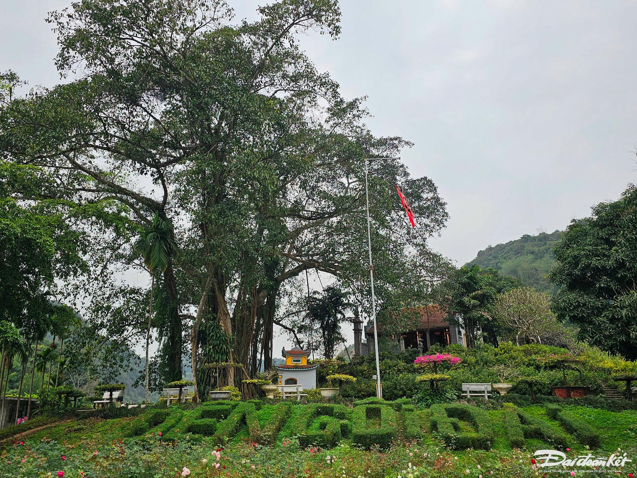 Theo tài liệu còn lưu trữ tại UBND xã Ninh Hải, sau khi cùng vua Đinh Tiên hoàng dẹp loạn 12 sứ quân, Việt Thắng đại vương, một vị tướng tài triều Đinh được giao trấn ải vùng đất phía Tây cố đô Hoa Lư. Sau khi ông mất, nhà vua đã cho xây ngôi đền ngay dưới gốc đa và đặt tên là đền Gối Đại – nghĩa là sự nối tiếp của các thời đại với mong muốn đời sau luôn nhớ đến công ơn của người đi trước. Ảnh: Đình Minh
