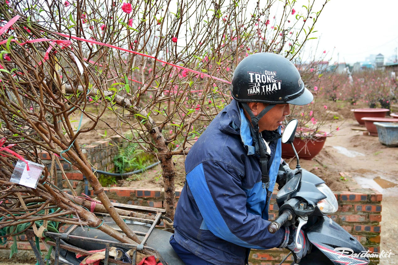 W_dao_nhat_tan-le-khanh9.jpg
