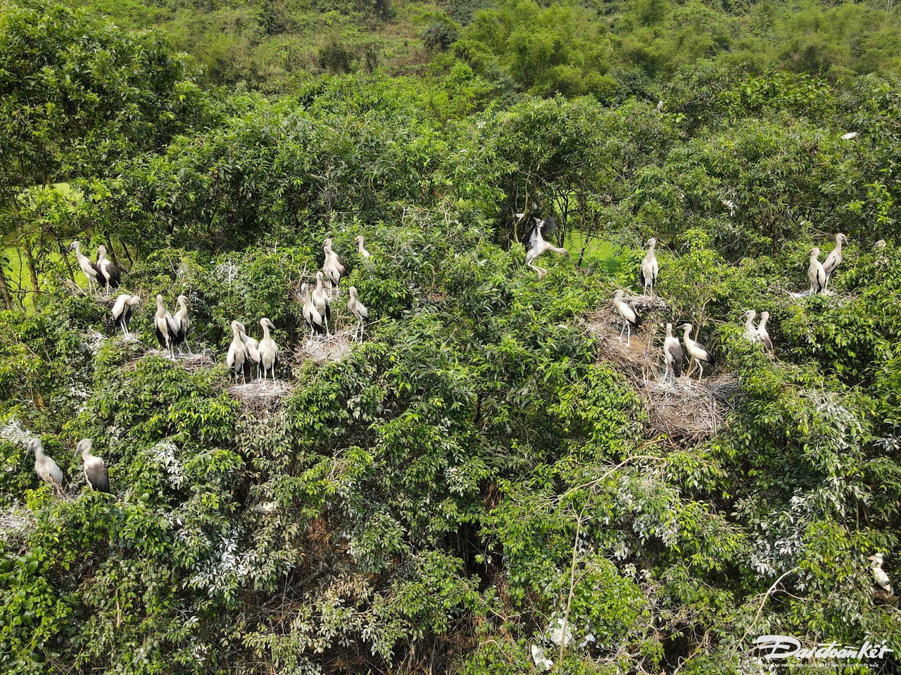 dji_fly_20240402_100306_966_1712596267093_photo.jpg