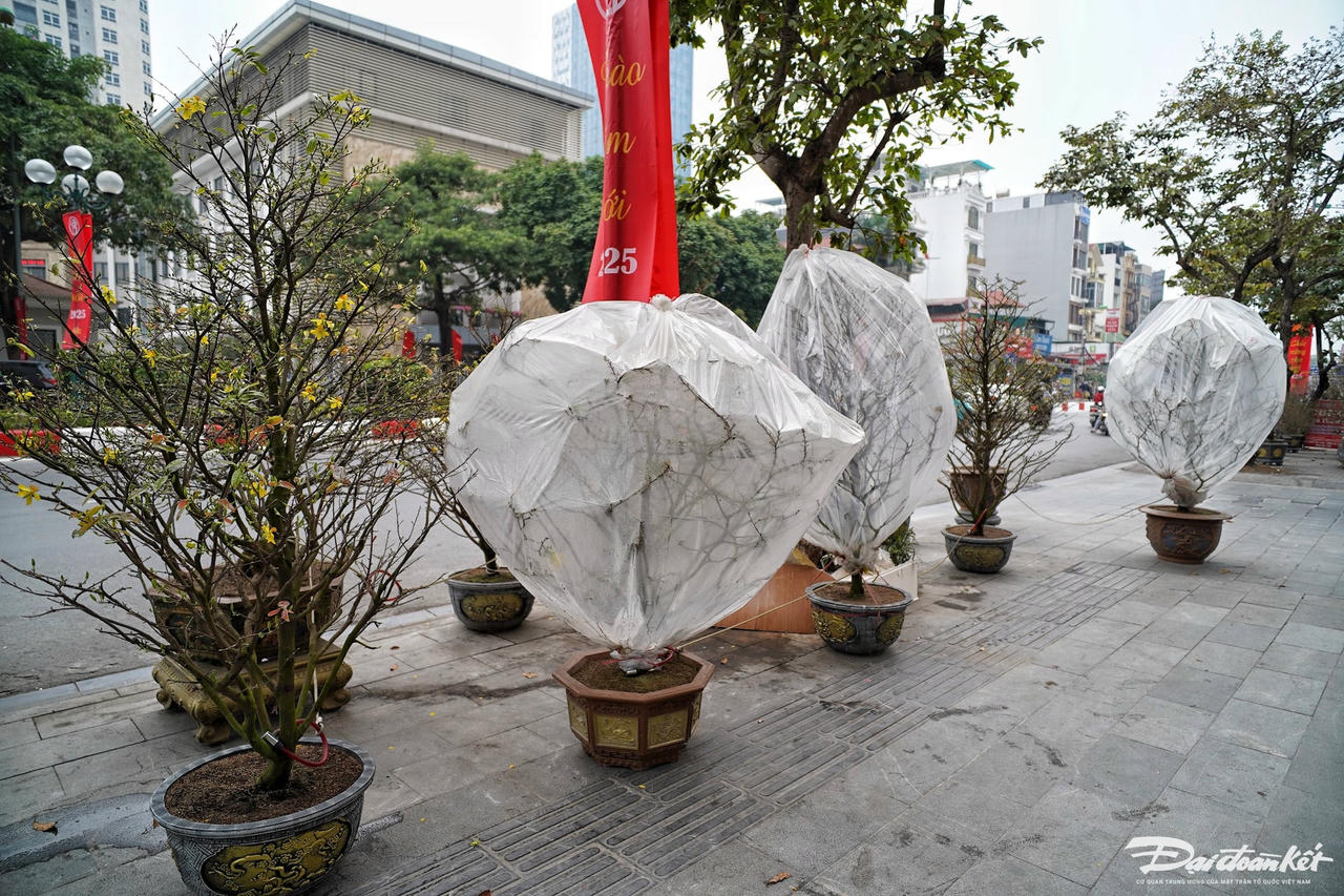 dao_quat-le-khanh27.jpg
