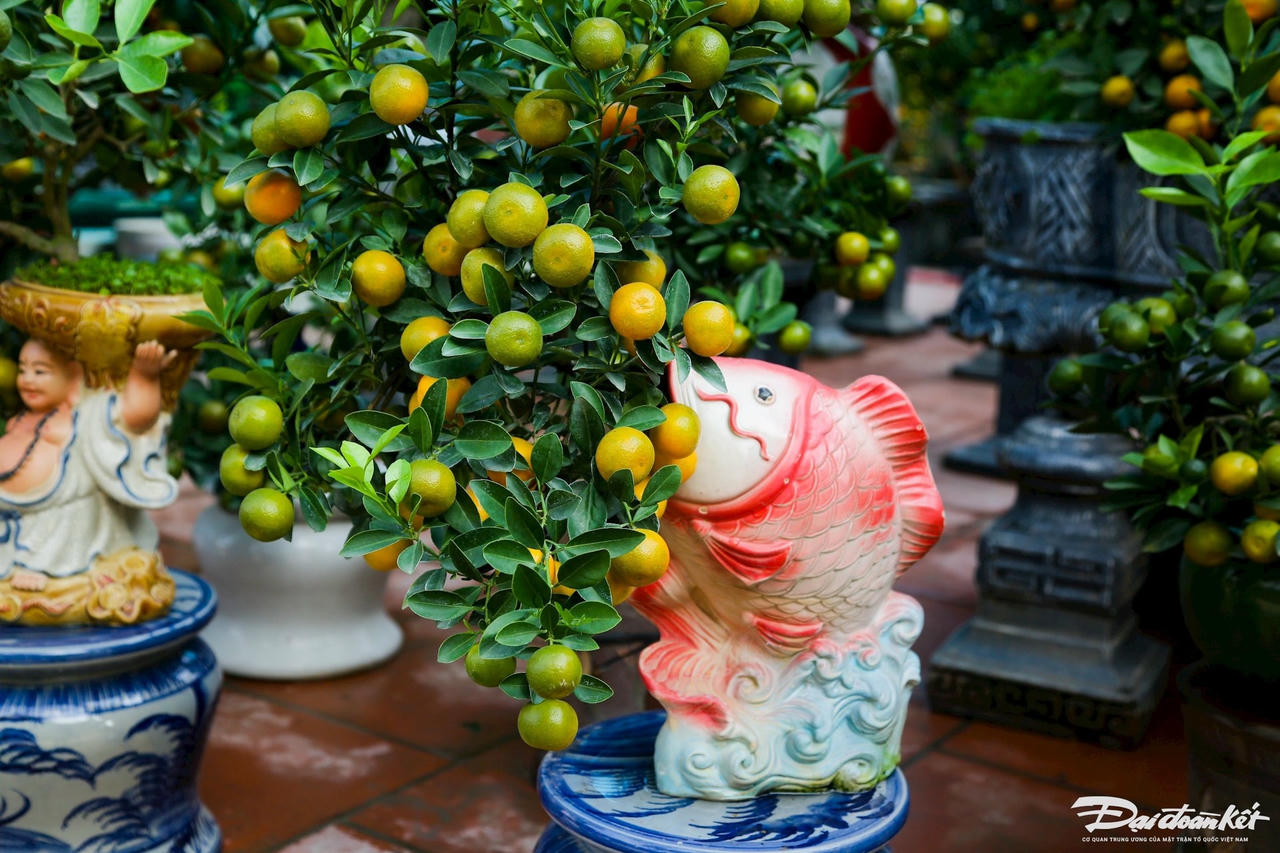 W_quat_mi_ni-le-khanh14.jpg