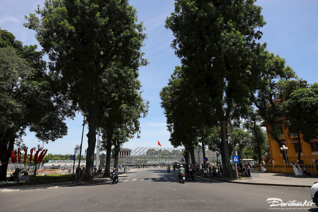 ảnh dỡ rào9