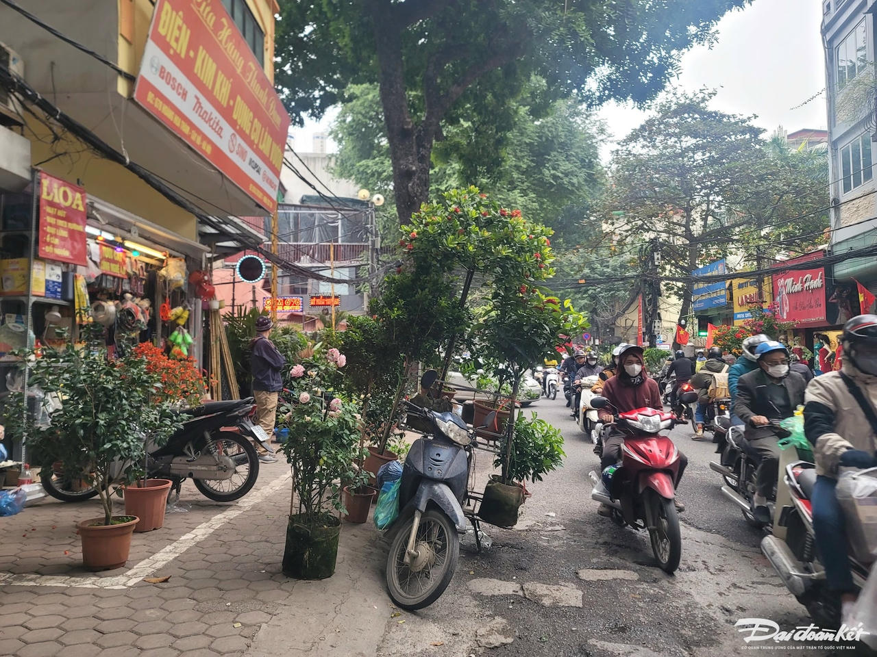 W_fd40bc47d7357c6b2524.jpg