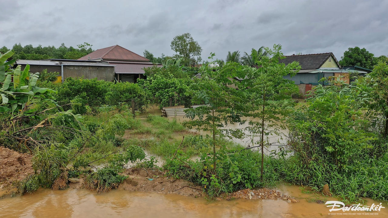 4-ngap-nuoc-cam-hieu-1.jpg