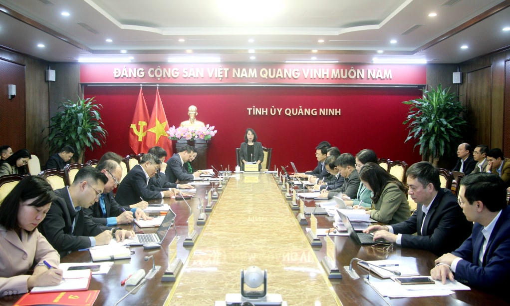 2294780_dong_chi_trinh_thi_minh_thanh_pho_bi_thu_thuong_truc_tinh_uy_chu_tich_hdnd_tinh_chu_tri_cuoc_hop_11111620.jpg