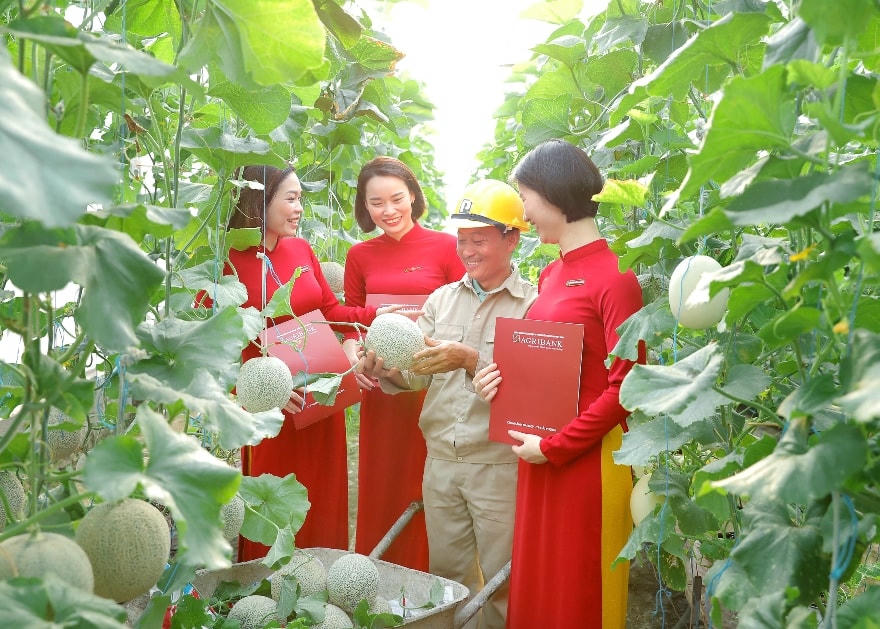 Agribank quyết tâm đi đầu thực hiện chỉ đạo của NHNN về thúc đẩy tín dụng xanh