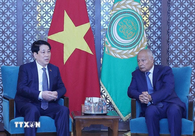 Chủ tịch nước Lương Cường gặp Tổng Thư ký Liên đoàn Arab Ahmed Aboul Gheit. (Ảnh: Lâm Khánh/TTXVN) ttxvn-chu-tich-nuoc-luong-cuong-phat-bieu-chinh-sach-tai-lien-doan-arab-0408-7.jpg