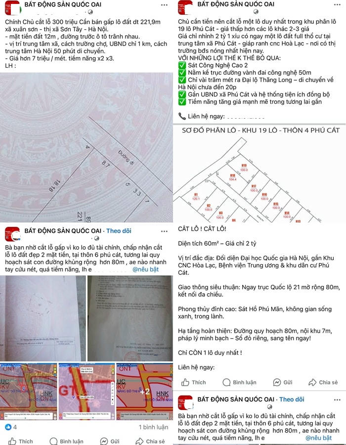 qa (1)