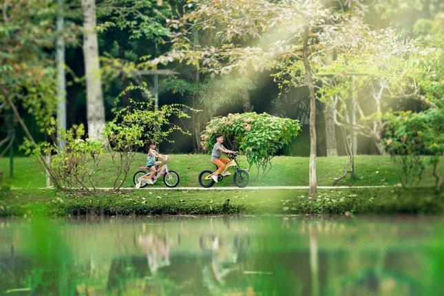 5 vùng đất Blue zone có gì mà người dân sống trường thọ nhất trên thế giới? ảnh 3