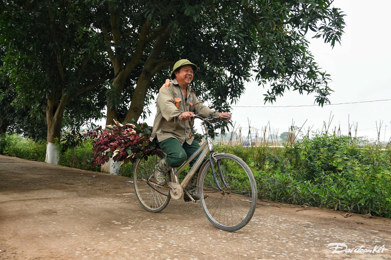 W_hoa_hong-le-khanh10.jpg