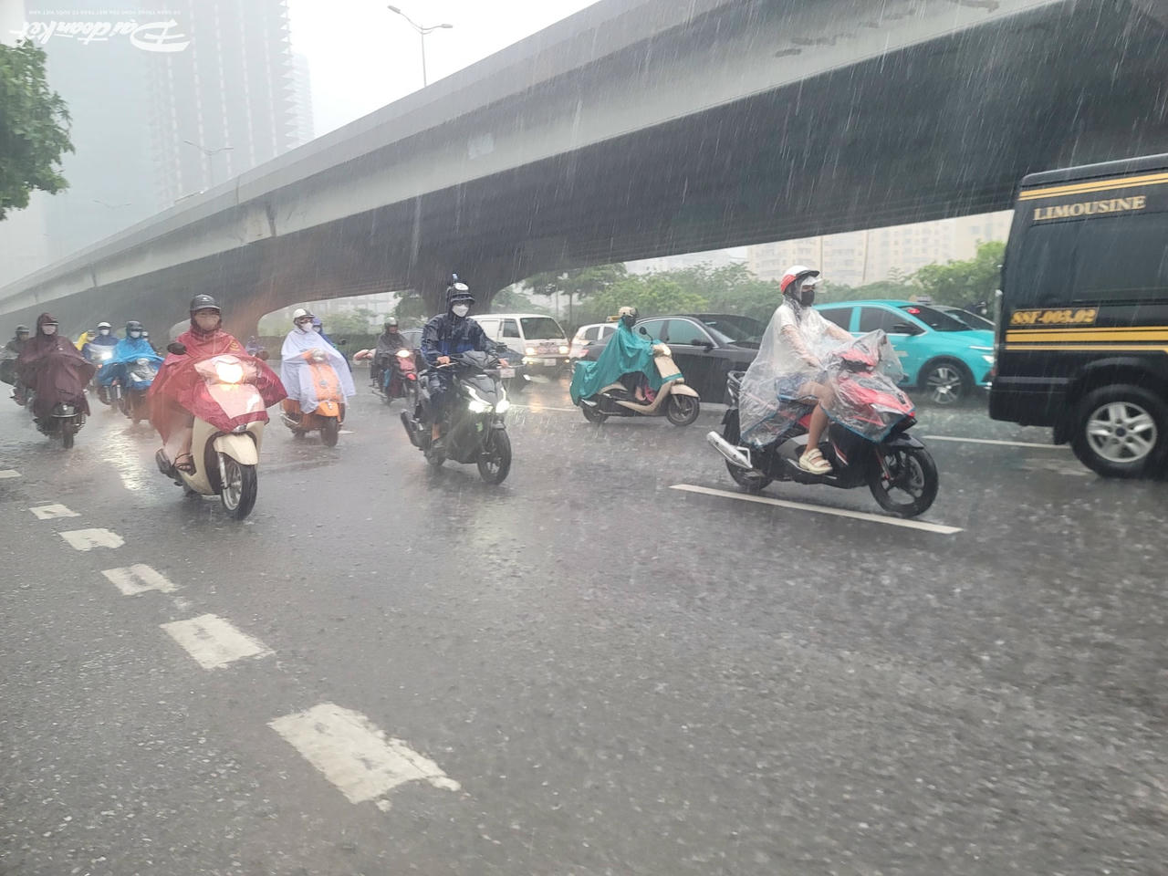 Mưa dông tại Hà Nội. Ảnh: Quốc Thanh.