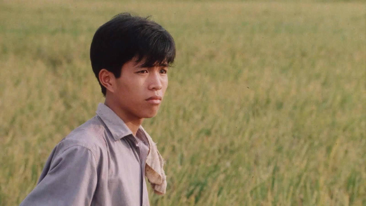Thuong nho dong que