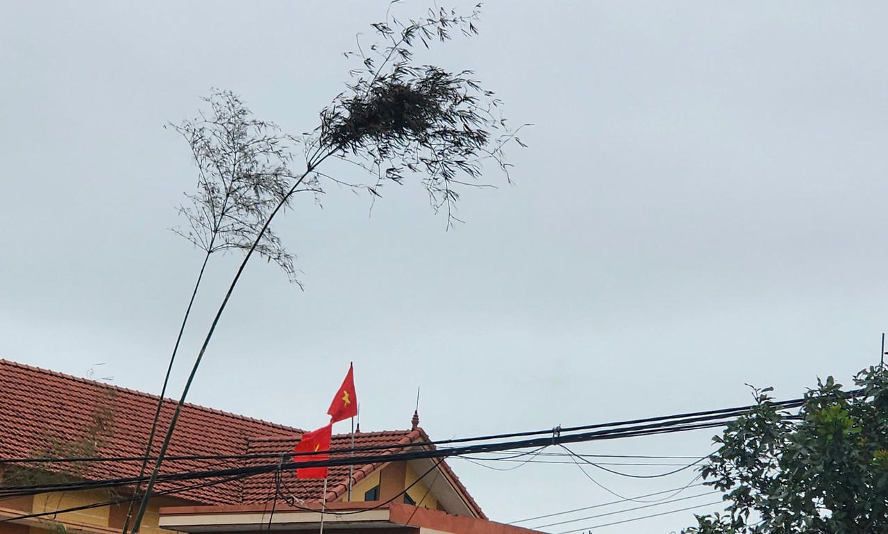 anh-5.jpg