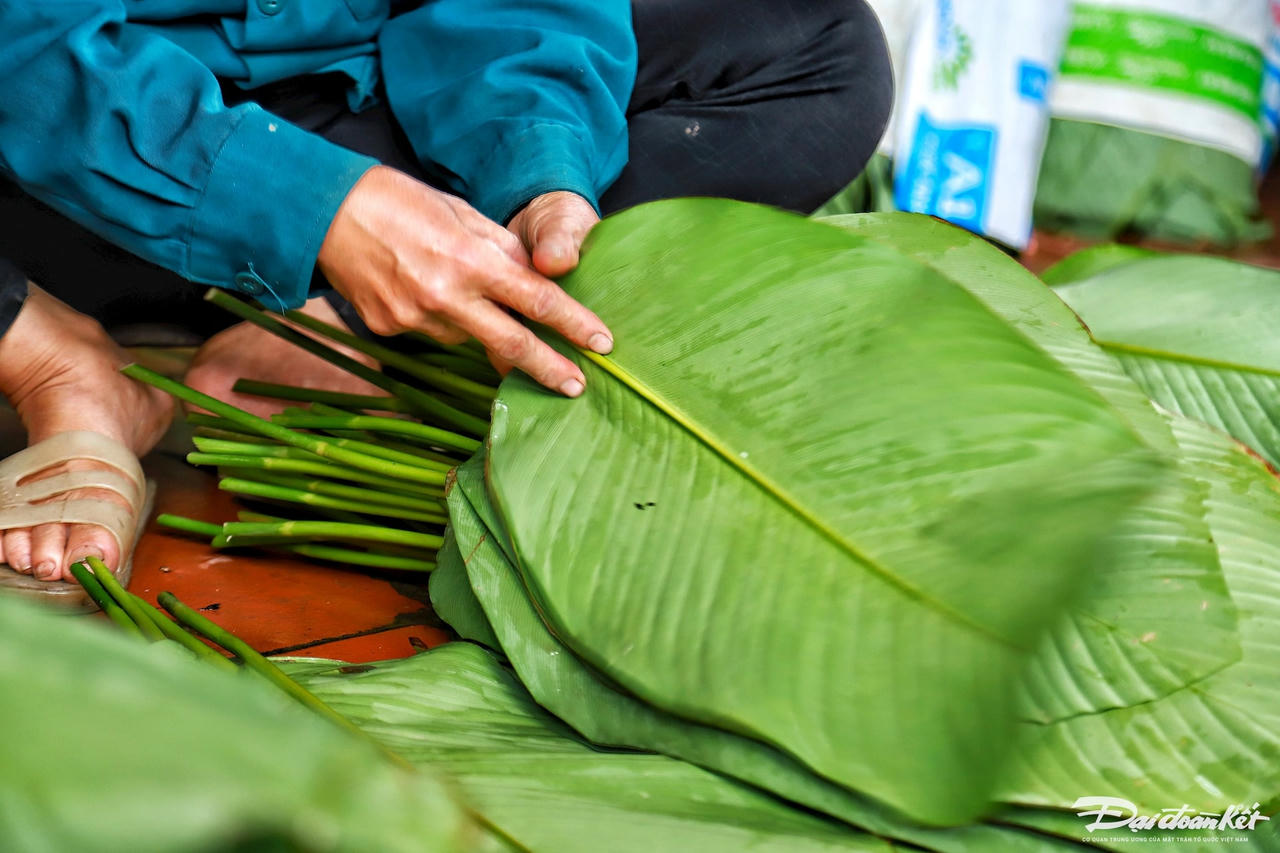 W_la-dong_le-khanh14.jpg