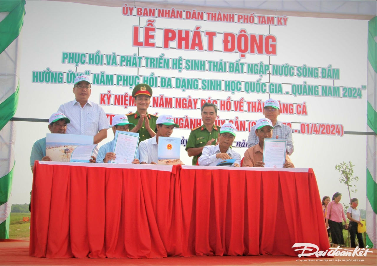 tha-2.jpg
