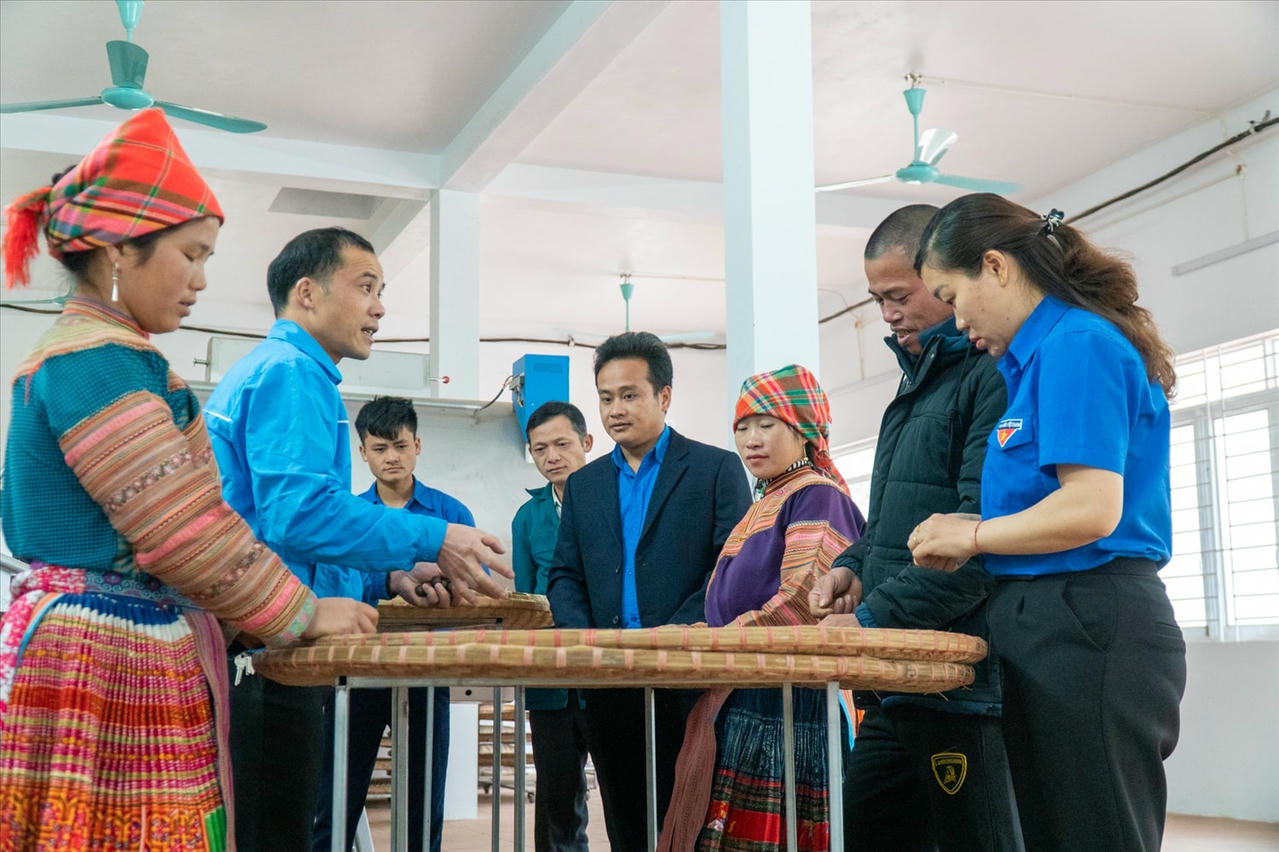 Xây dựng các sản phẩm từ chè Shan tuyết theo hướng OCOP