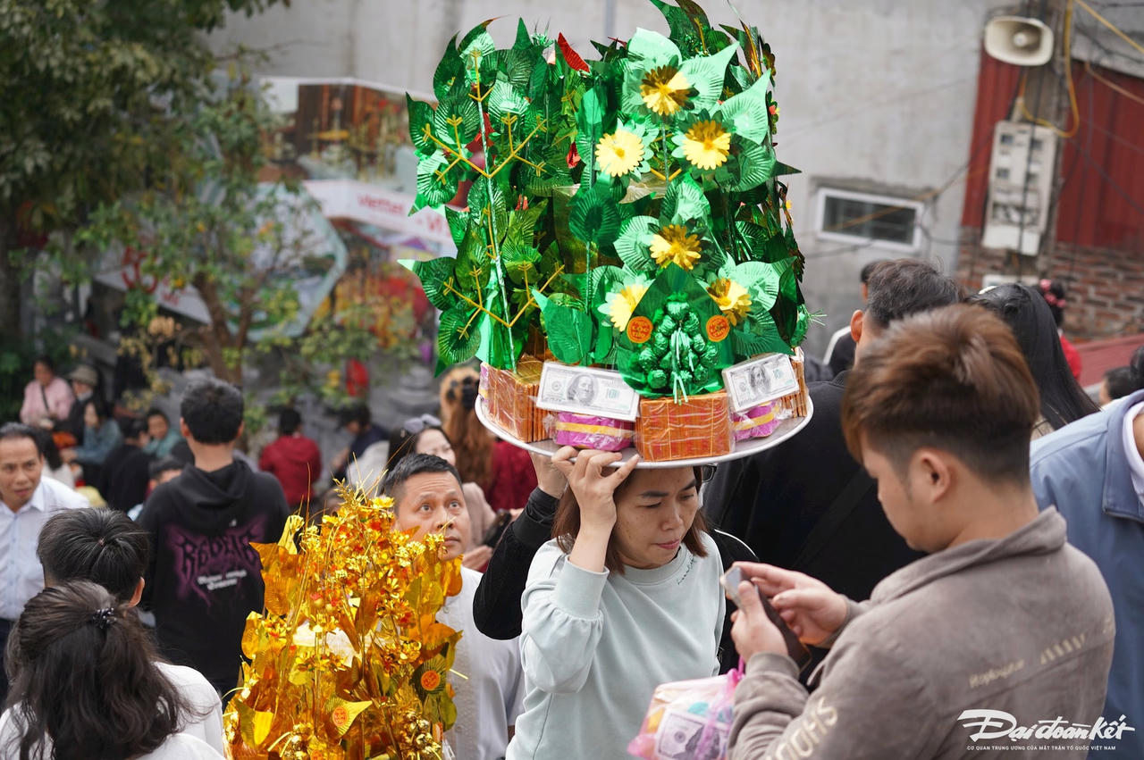 dsc01446.jpg