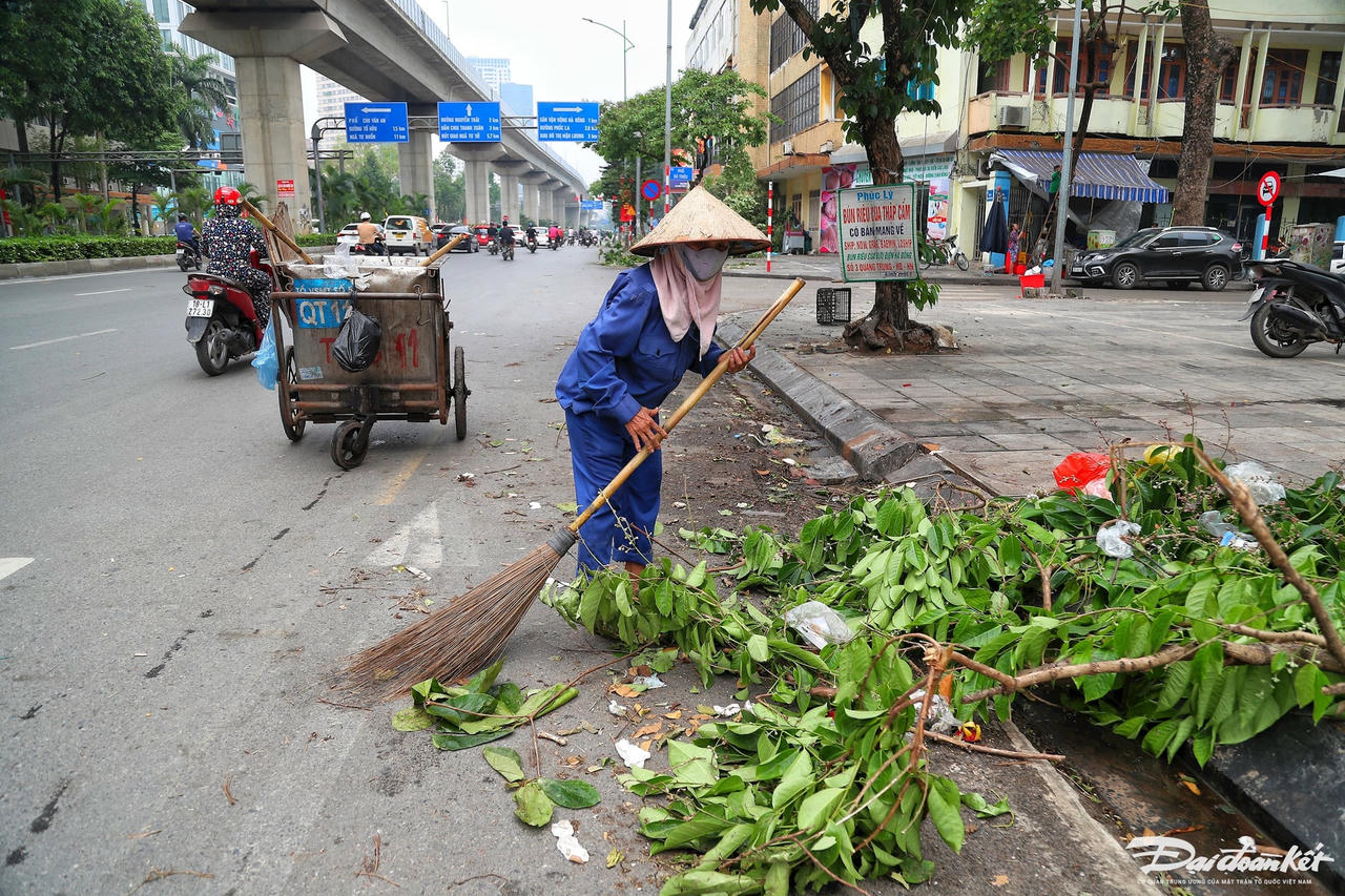 cay_do-le-khanh16.jpg