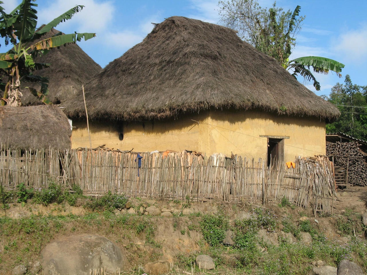 nha-tuong-trinh.jpg