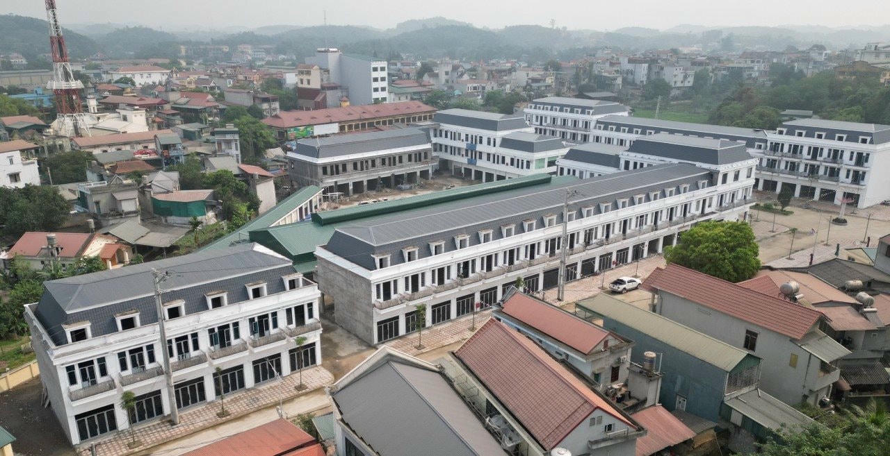 cho-1.jpg