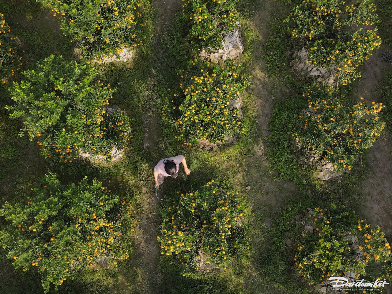 W_dji_fly_20240105_151342_410_1704442439451_photo.jpg
