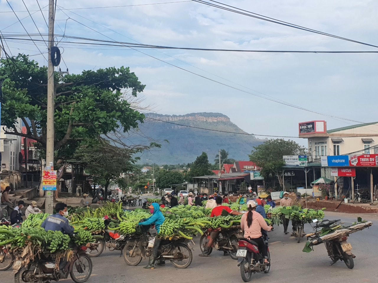 Hàng trăm xe máy chở chuối từ các ngả tập trung về ngã ba Tân Long.