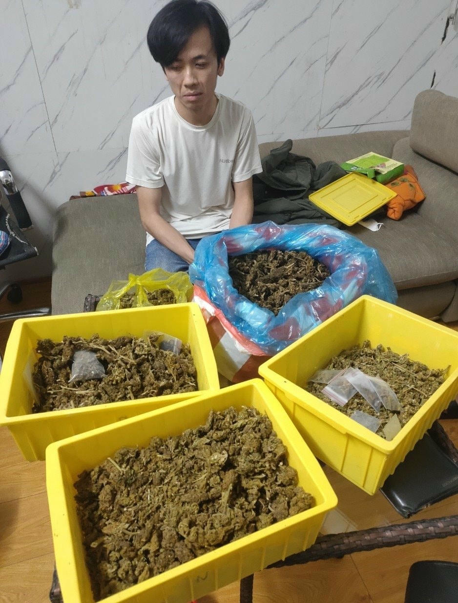 can-sa.jpg