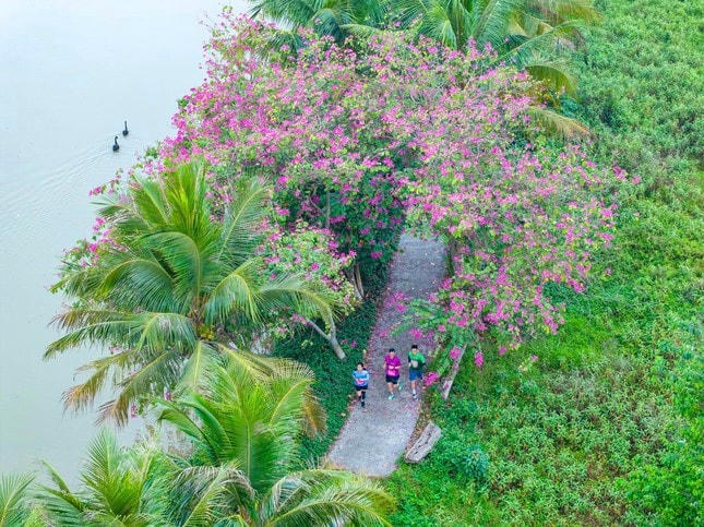Ngồi nơi cửa nhà, nghĩ về hạnh phúc ảnh 3