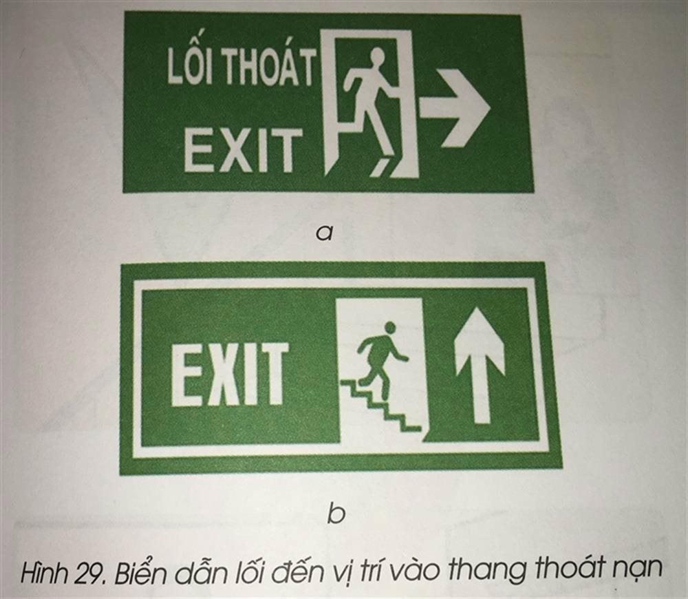 131_3.jpg