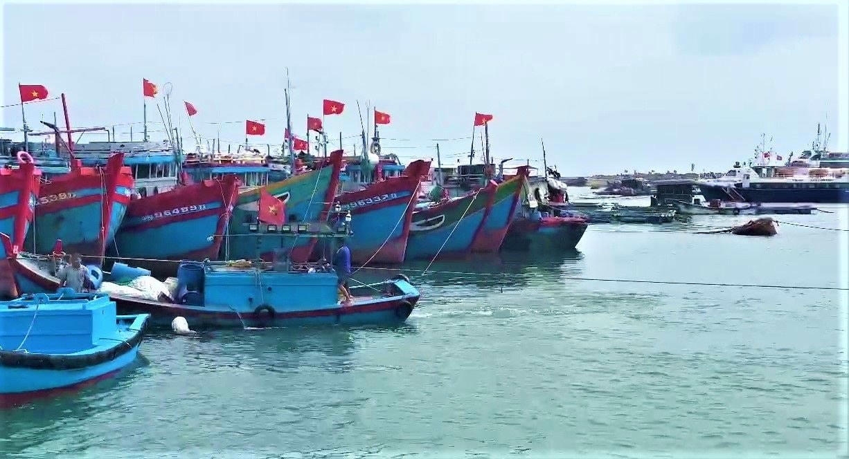 QUANG NGAI 3