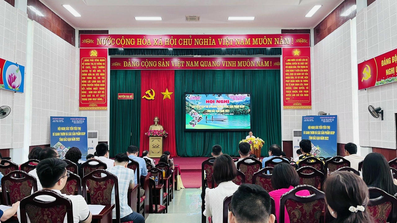 Hội nghị