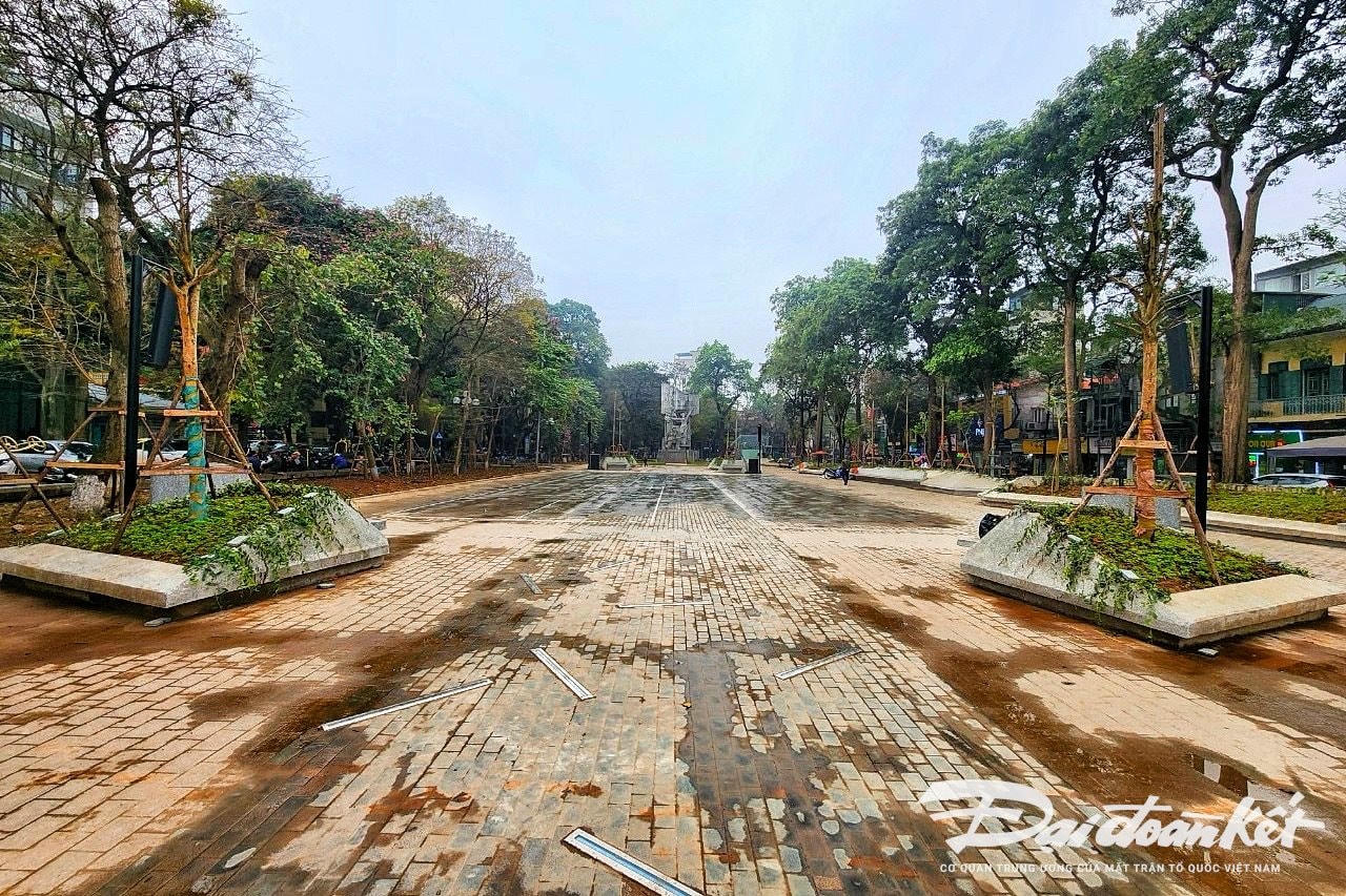 W_vuon_hoa_hang_dau-le-khanh9.jpg