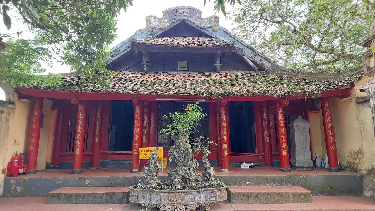 Hoi thao chua dau 6