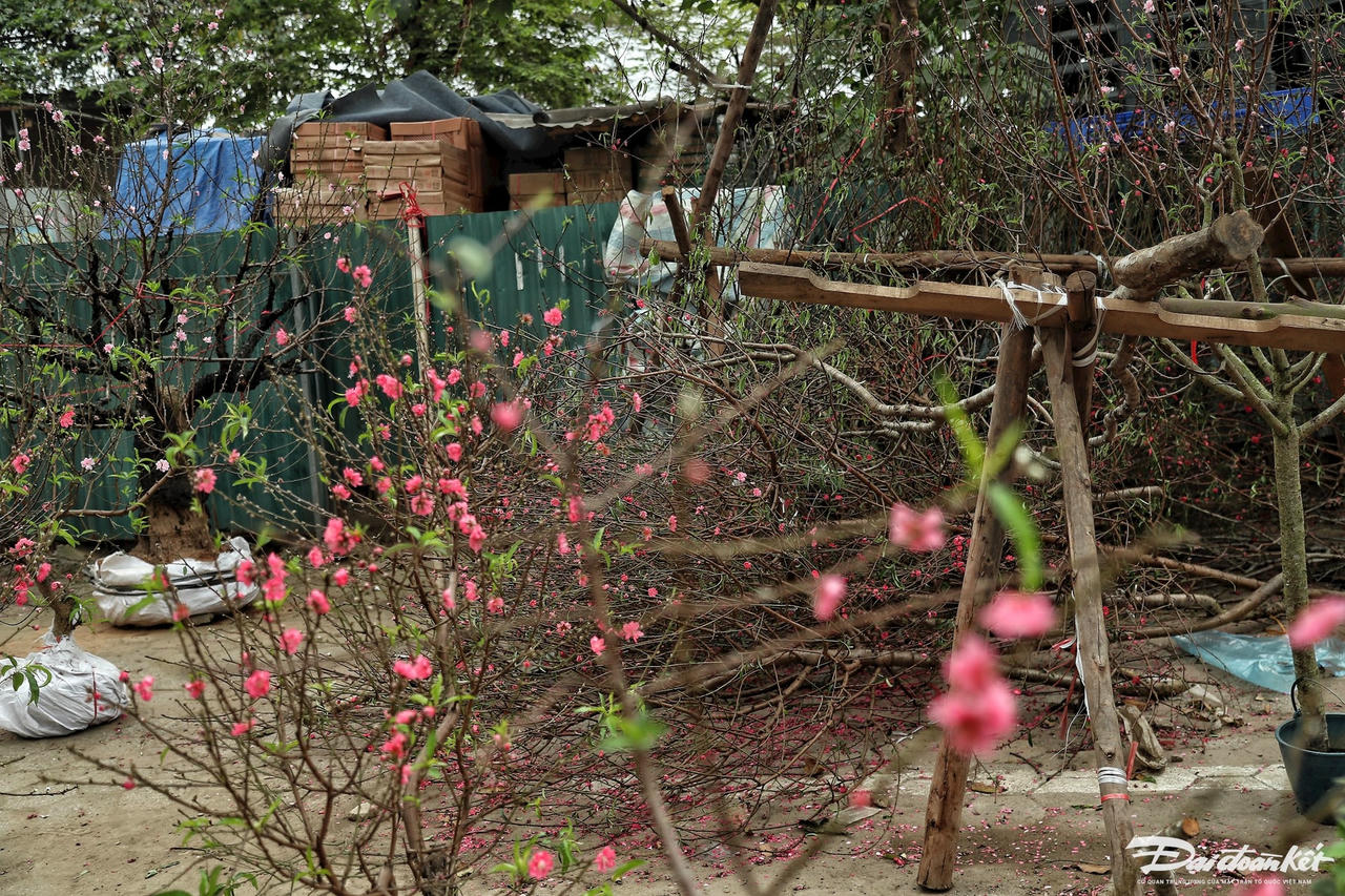 W_dao_quat_xa_lo-le-khanh20.jpg