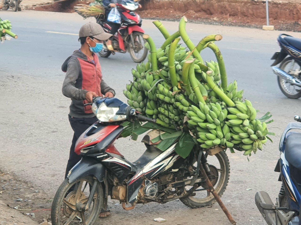 Chuối được bán theo buồng hoặc theo trọng lượng.